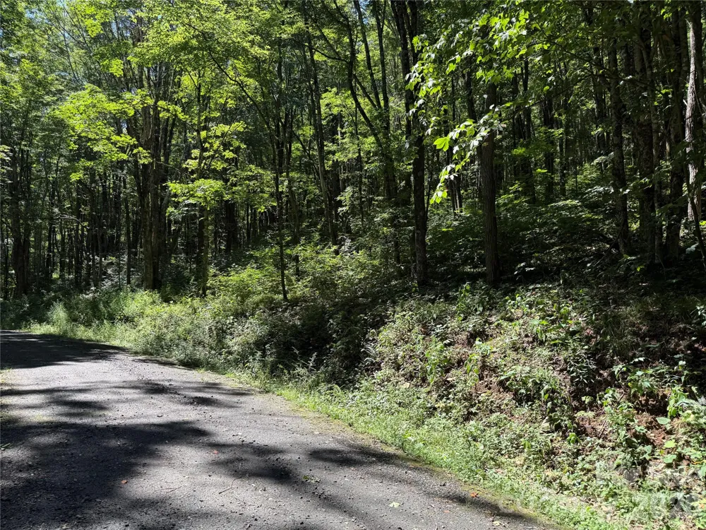 7 Wolfsbane Trail #7 Todd, NC 28684