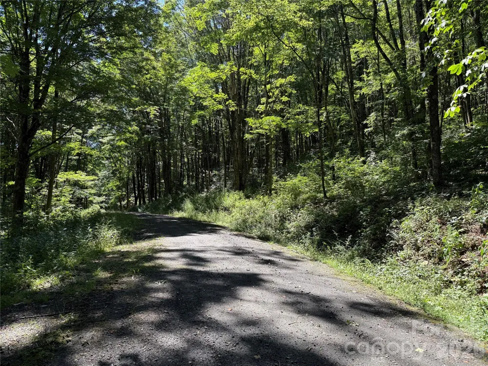7 Wolfsbane Trail #7 Todd, NC 28684