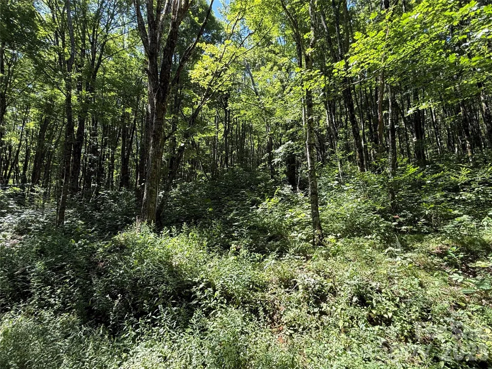 7 Wolfsbane Trail #7 Todd, NC 28684