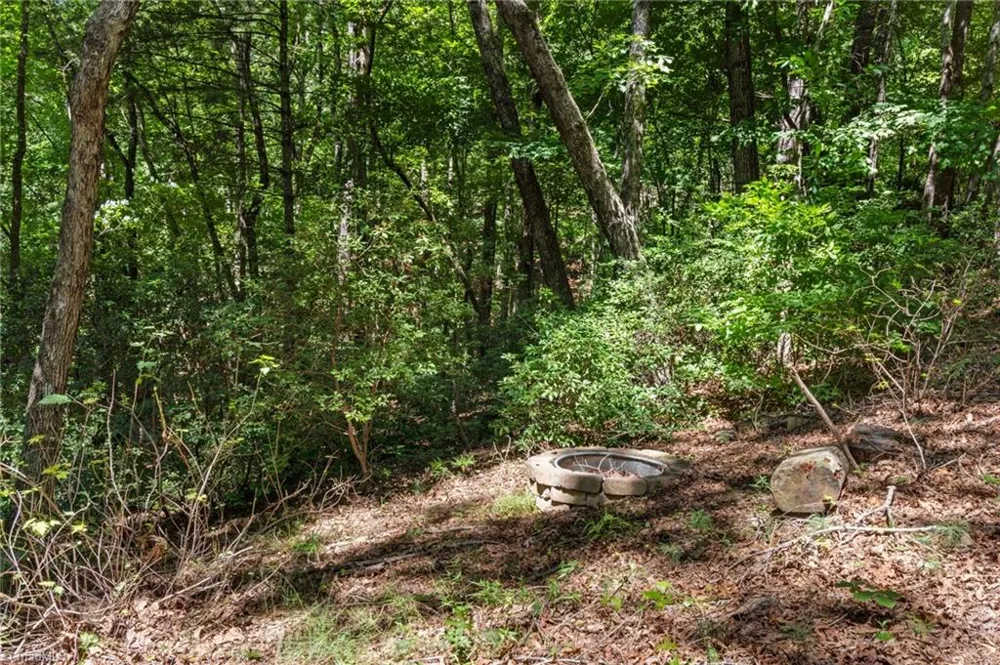 157 Wolf Trail McGrady, NC 28649
