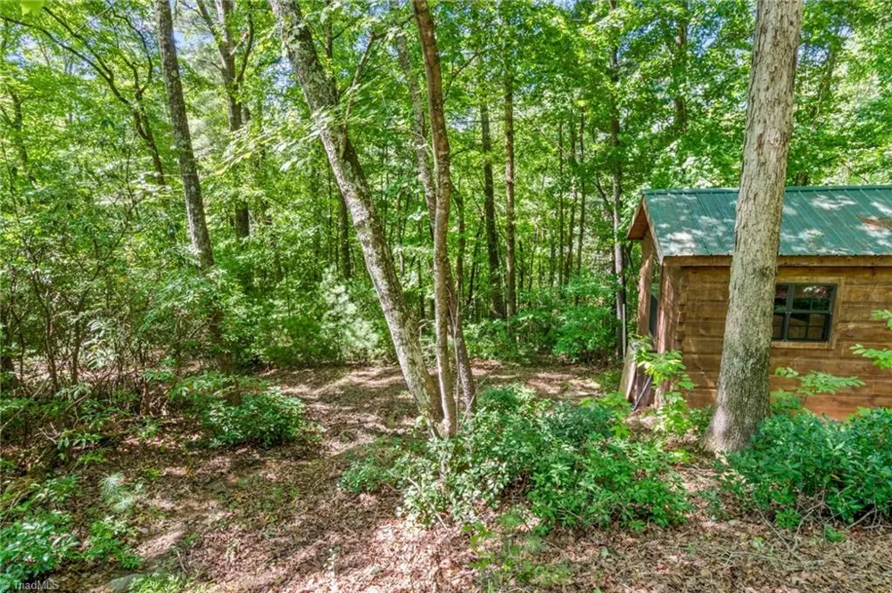 157 Wolf Trail McGrady, NC 28649