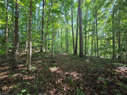 Lot 1 Pin Tail Drive