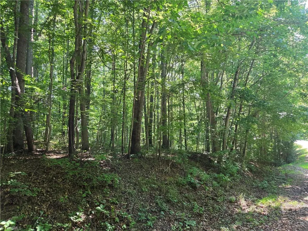 Lot 1 Pin Tail Drive Reidsville, NC 27320