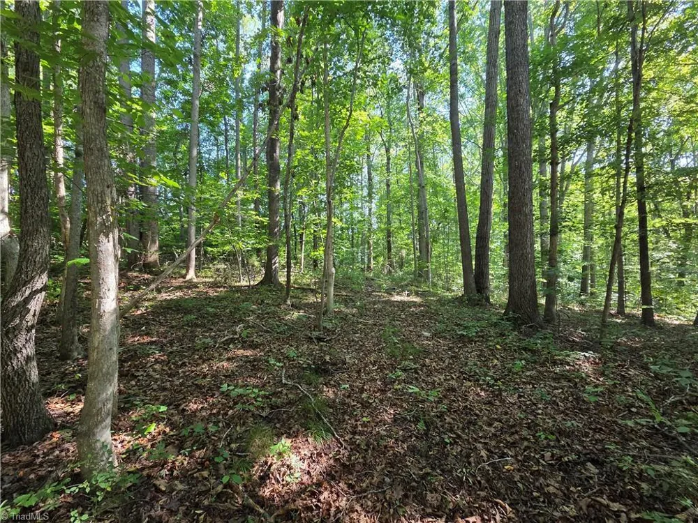 Lot 1 Pin Tail Drive Reidsville, NC 27320