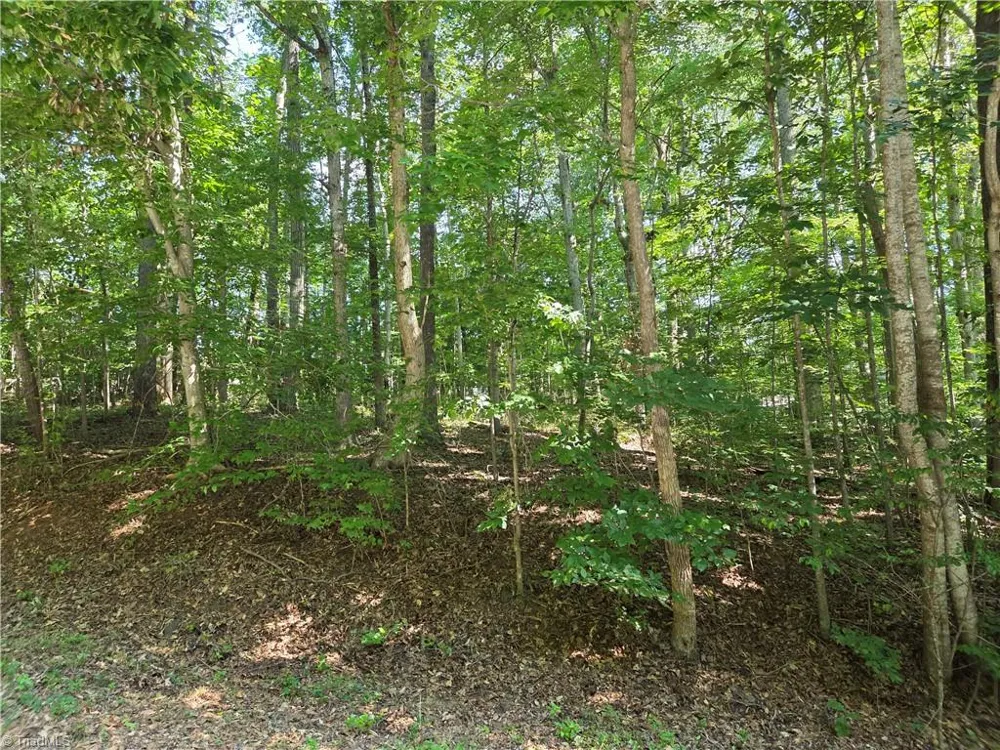 Lot 1 Pin Tail Drive Reidsville, NC 27320