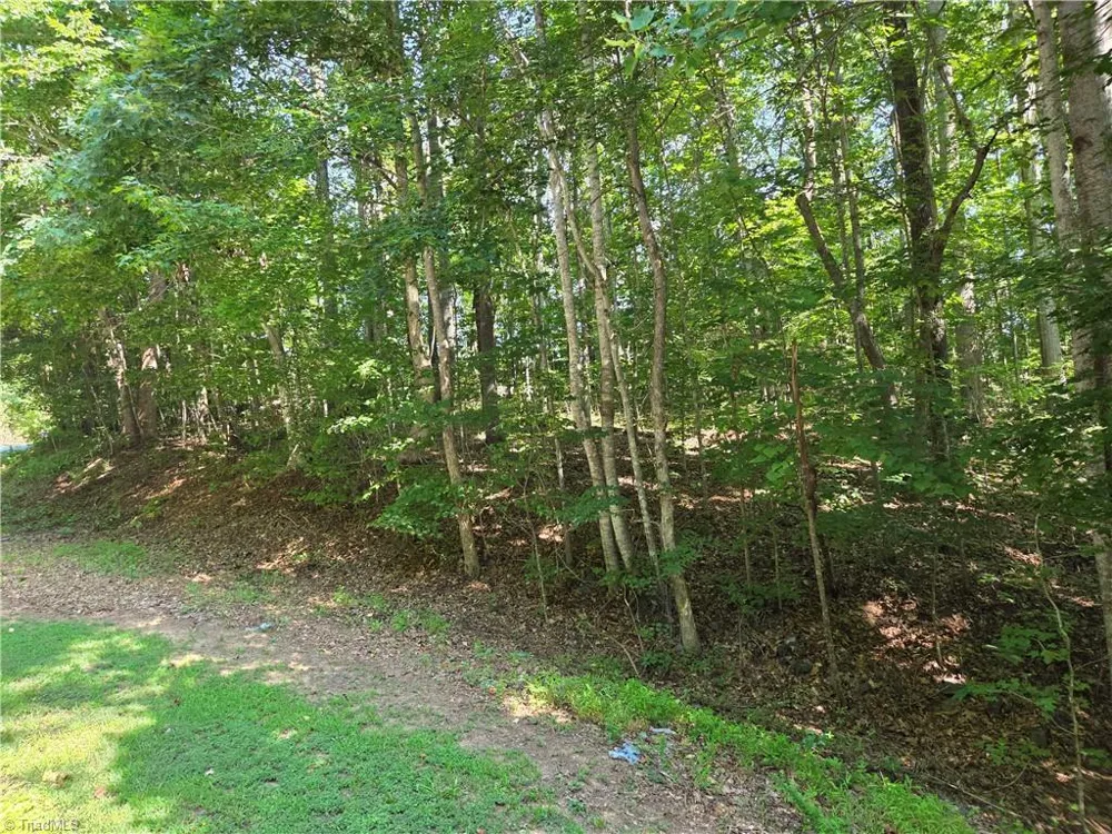 Lot 1 Pin Tail Drive Reidsville, NC 27320