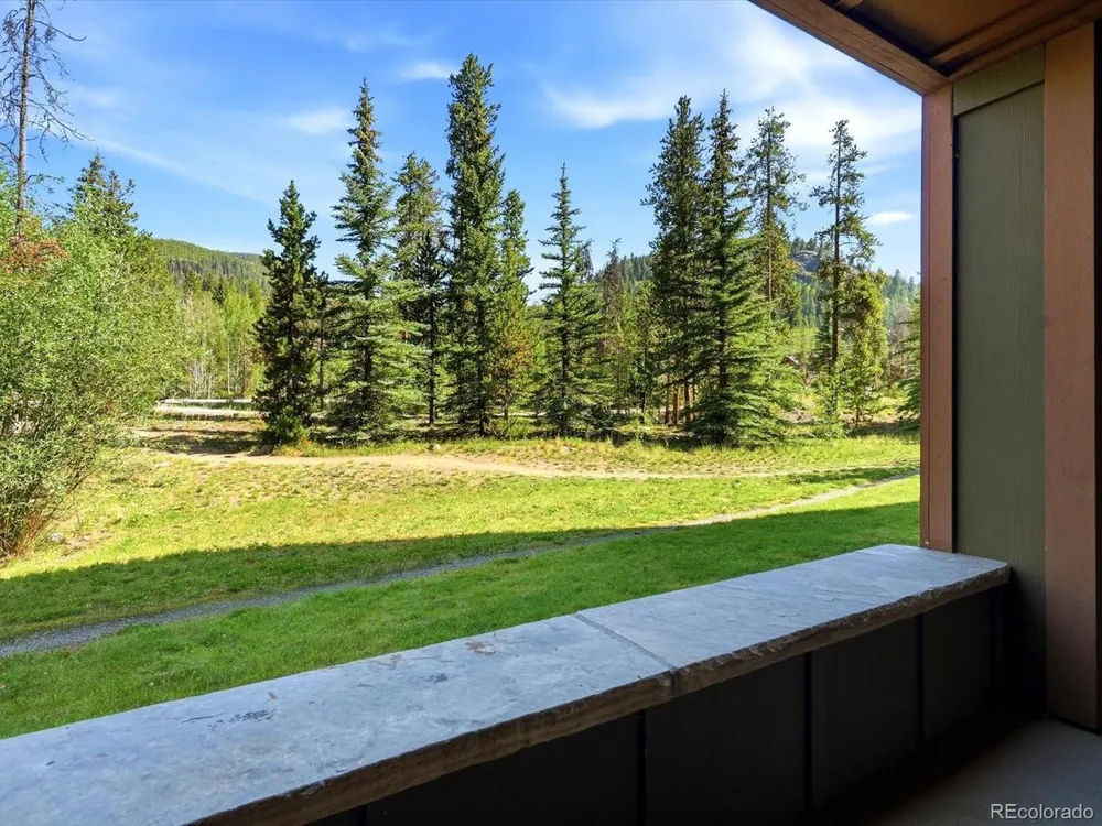 53 Hunkidori Court #8804 Dillon, CO 80435
