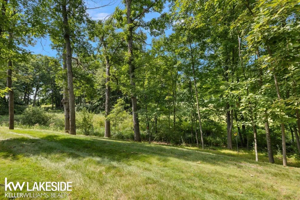 877 Cody Drive Dexter City, MI 48130