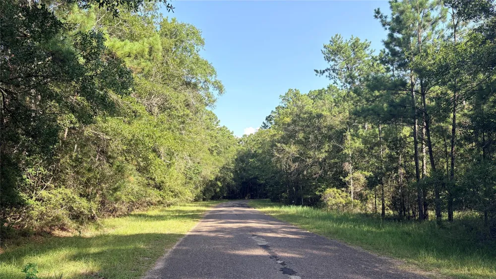 11 Hackberry Drive Village Mills, TX 77663