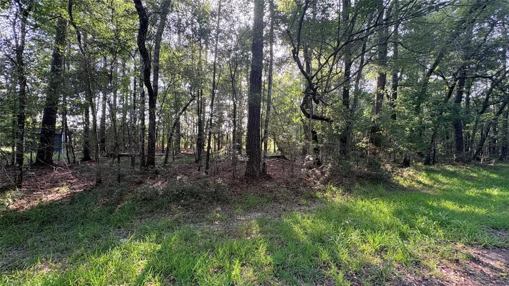 11 Hackberry Drive Village Mills, TX 77663