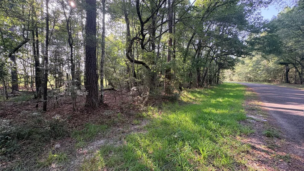 11 Hackberry Drive Village Mills, TX 77663