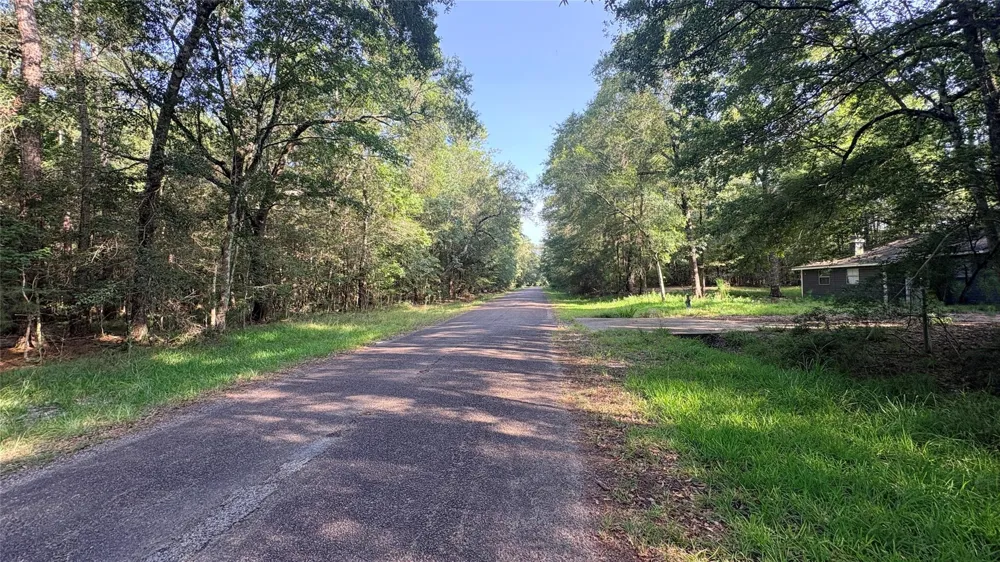 11 Hackberry Drive Village Mills, TX 77663