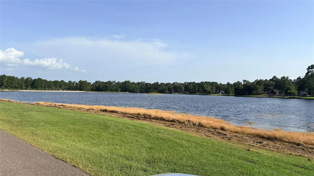11 Hackberry Drive Village Mills, TX 77663