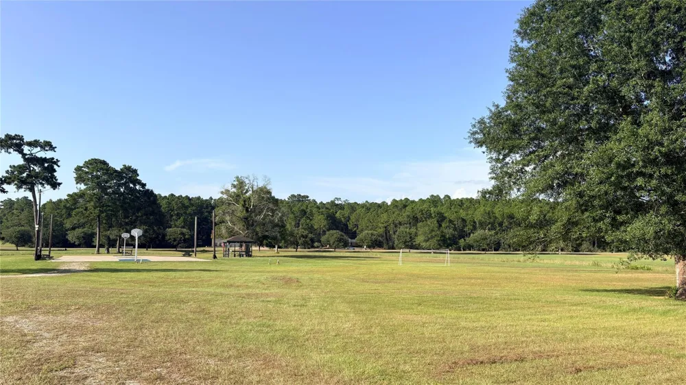 11 Hackberry Drive Village Mills, TX 77663