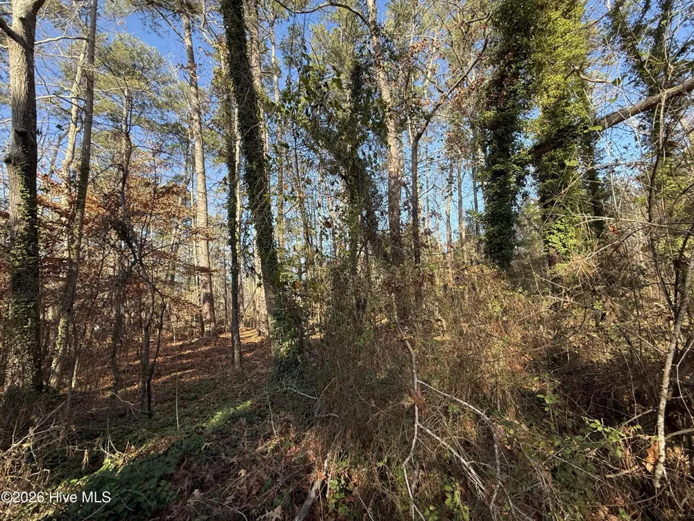 0 Alexander Lane Williamston, NC 27892