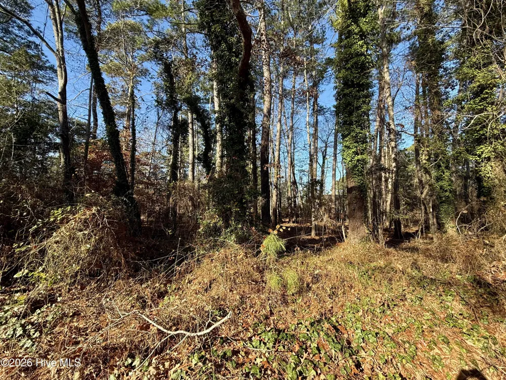 0 Alexander Lane Williamston, NC 27892