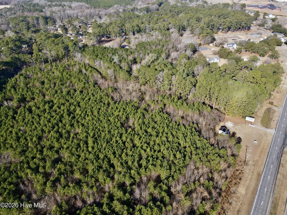 0 Alexander Lane Williamston, NC 27892
