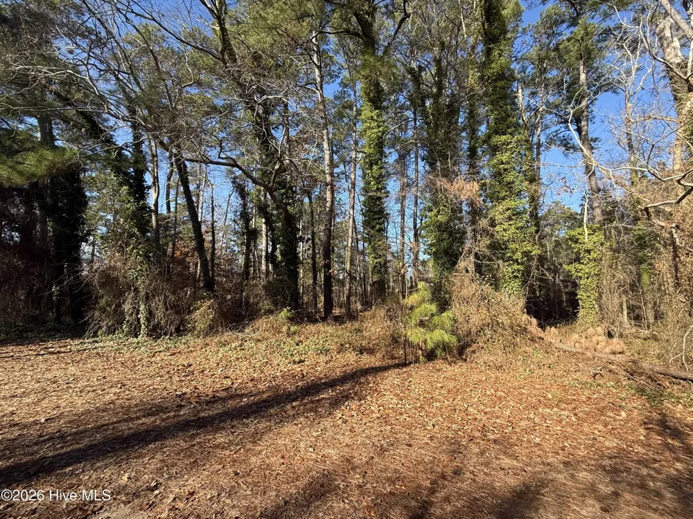 0 Alexander Lane Williamston, NC 27892