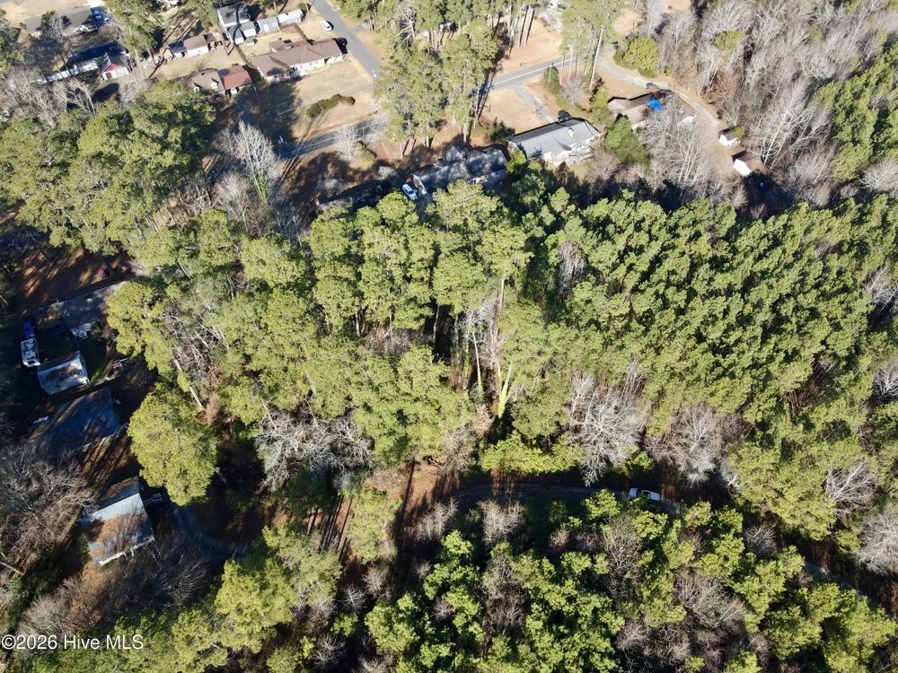 0 Alexander Lane Williamston, NC 27892