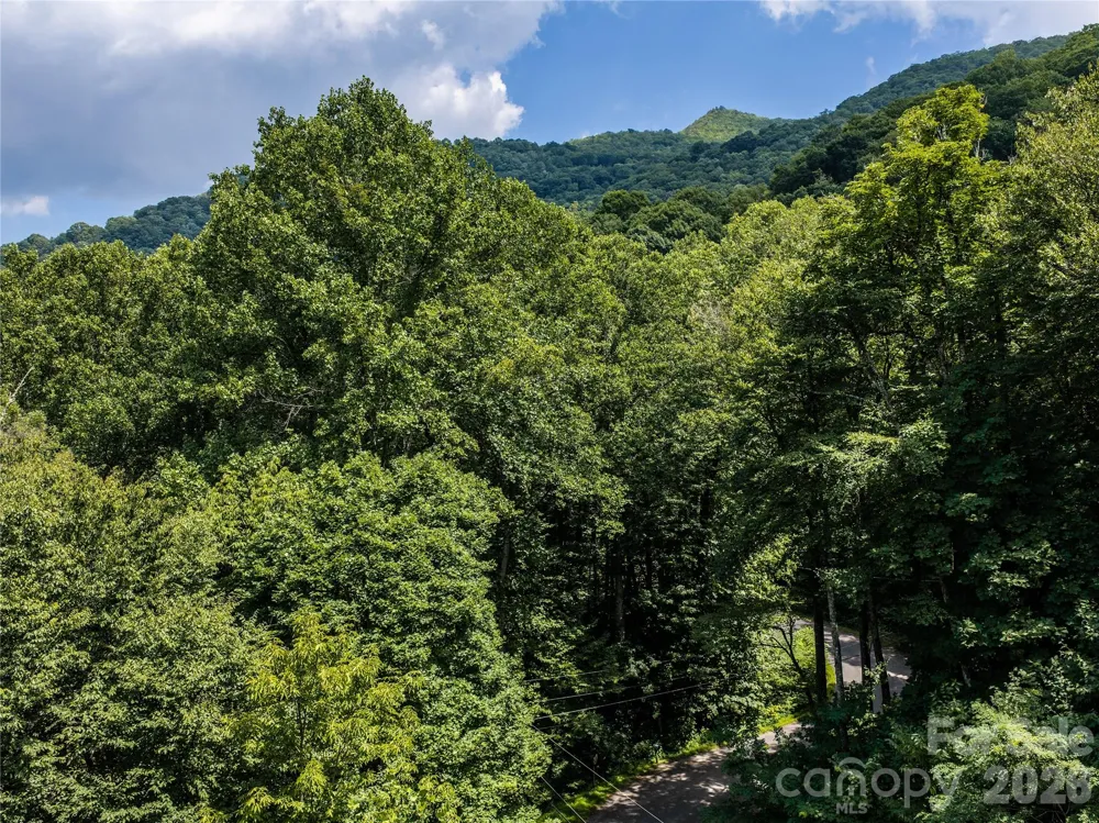 00 Dogwood Drive Maggie Valley, NC 28751