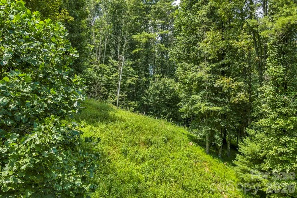 tbd Bethel Road Sugar Grove, NC 28679