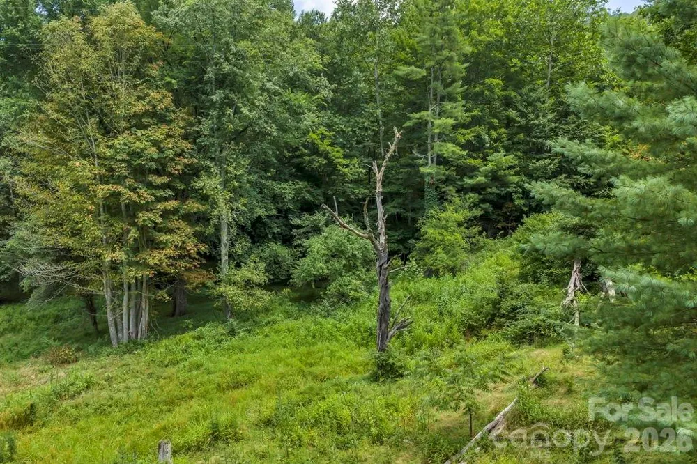 tbd Bethel Road Sugar Grove, NC 28679