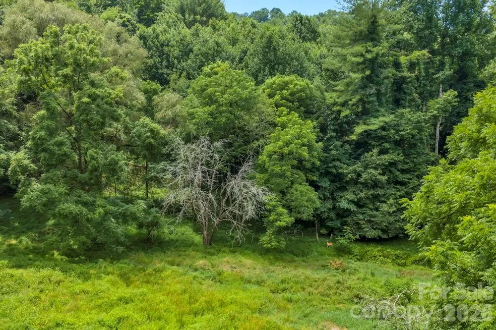 tbd Bethel Road Sugar Grove, NC 28679