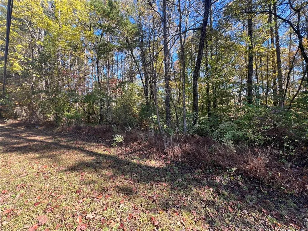 10494 Ball Ground Highway Ball Ground, GA 30107