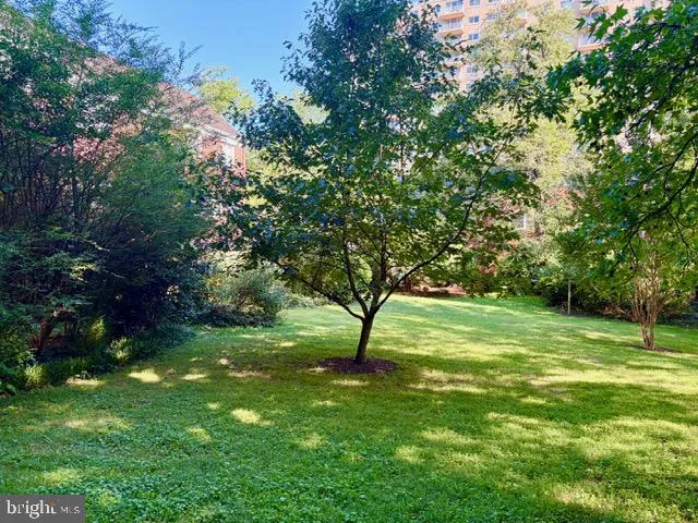1244 MARTHA CUSTIS DRIVE Alexandria, VA 22302