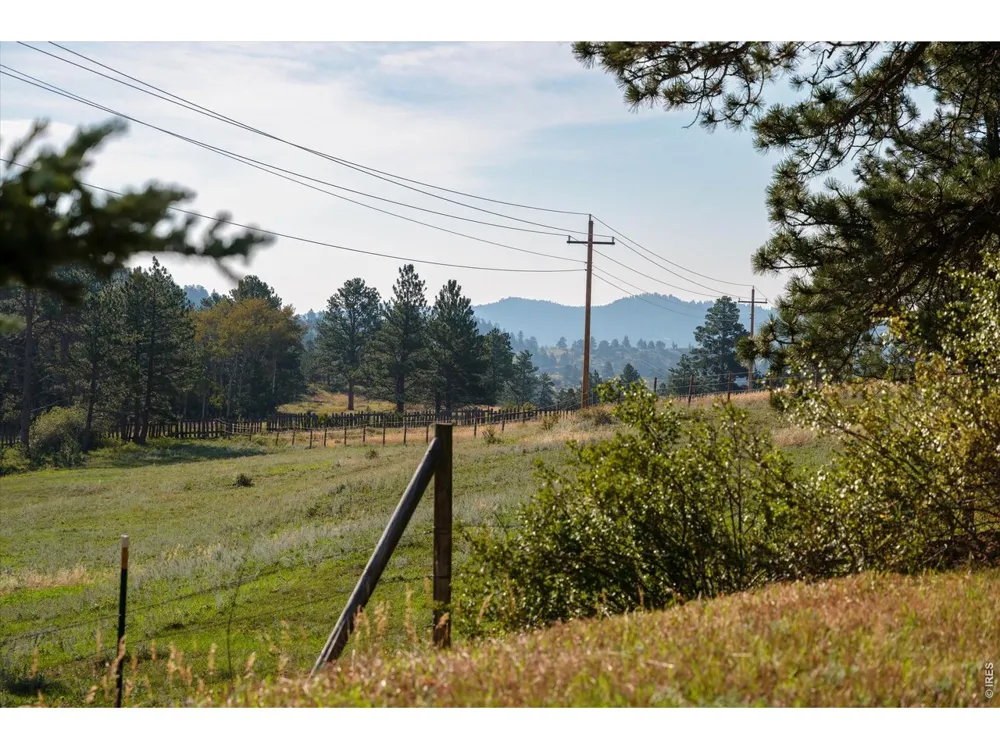 17391 W County Road 74e Red Feather Lakes, CO 80545