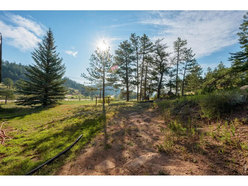17391 W County Road 74e Red Feather Lakes, CO 80545