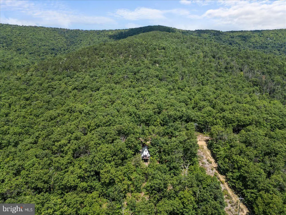 403 STAG TRAIL Winchester, VA 22602