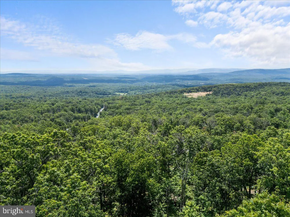 403 STAG TRAIL Winchester, VA 22602