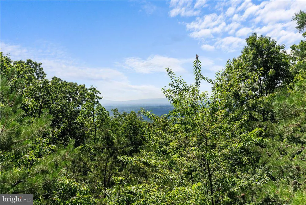 403 STAG TRAIL Winchester, VA 22602