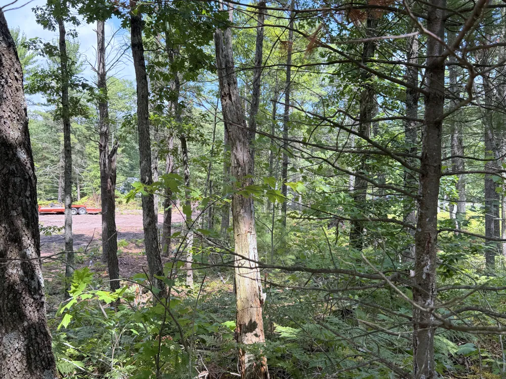 Danc Drive Twin Lake, MI 49457