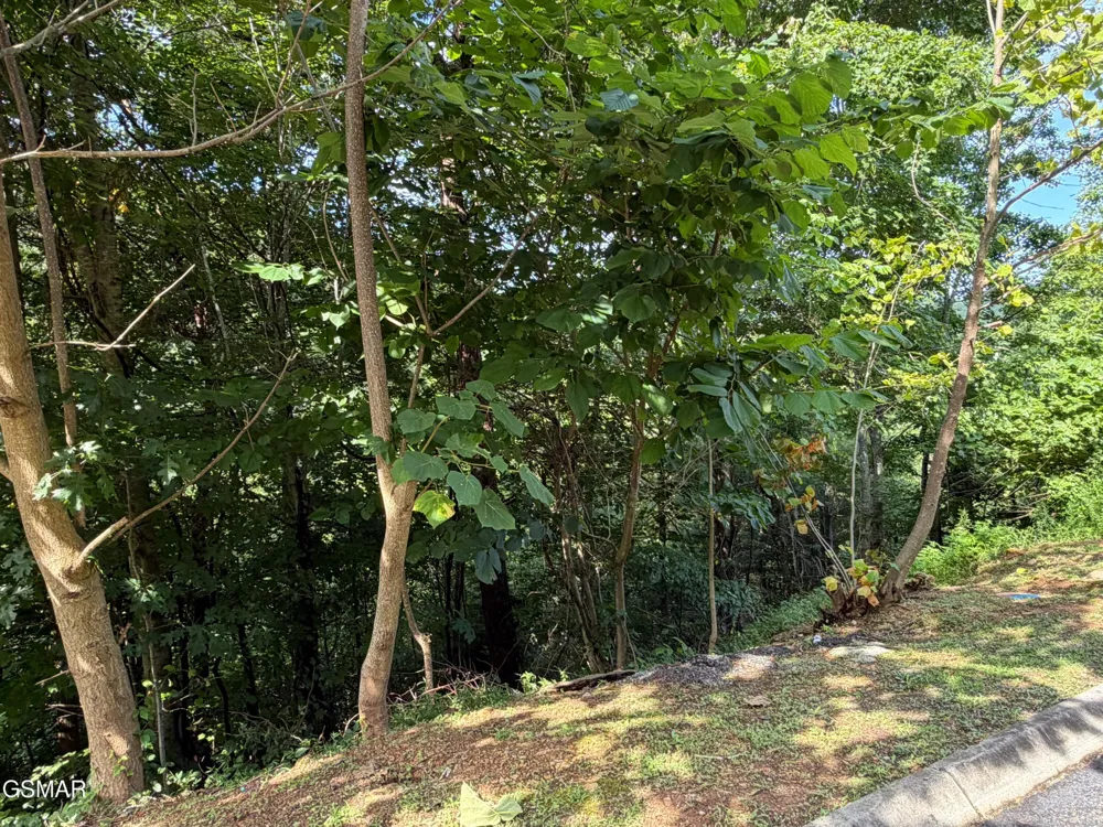 56 Smoky Ridge Way Sevierville, TN 37862