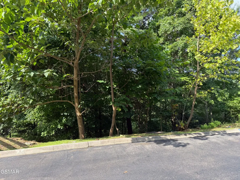 56 Smoky Ridge Way Sevierville, TN 37862
