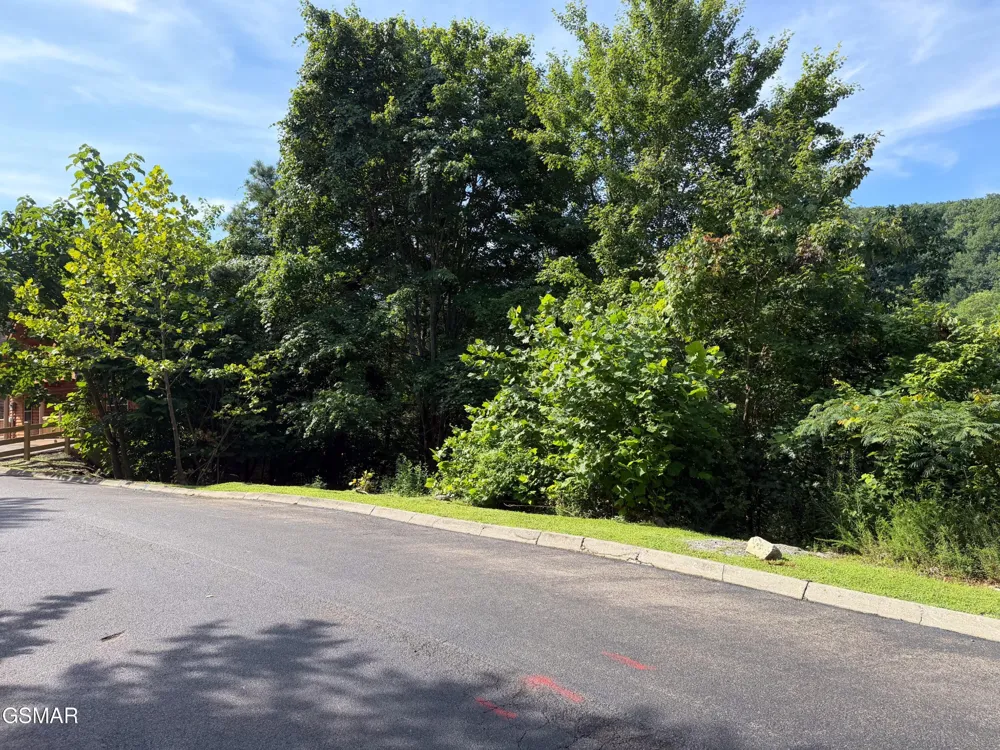 56 Smoky Ridge Way Sevierville, TN 37862
