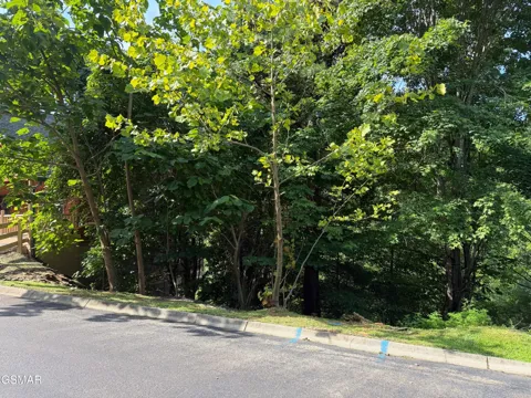 56 Smoky Ridge Way