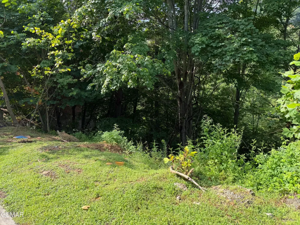 56 Smoky Ridge Way Sevierville, TN 37862