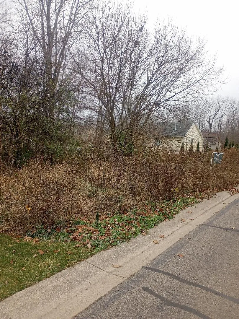 4093 Libbie Drive Clio, MI 48420
