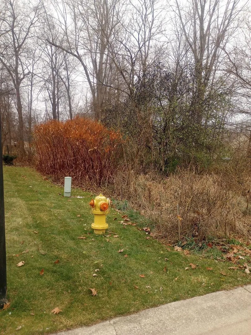 4093 Libbie Drive Clio, MI 48420