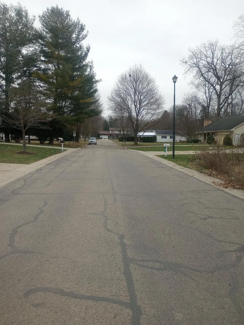 4093 Libbie Drive Clio, MI 48420