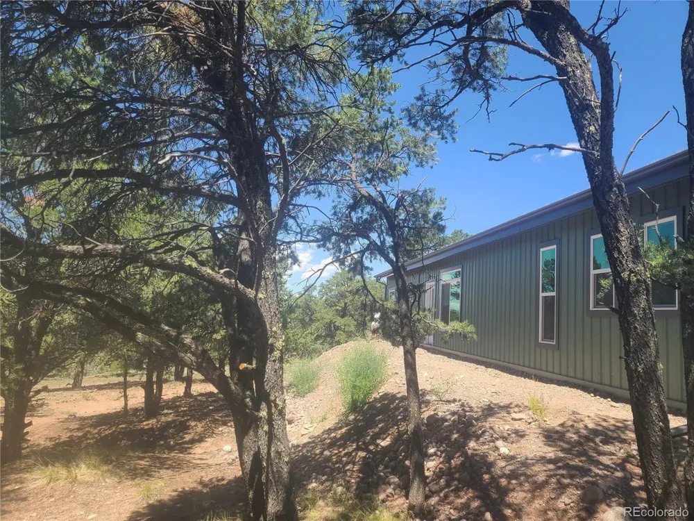 1911 Lone Pine Way Crestone, CO 81131