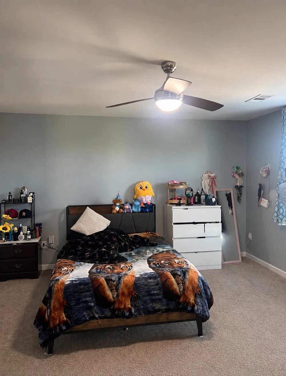 265 Hollandale Rd E La Vergne, TN 37086