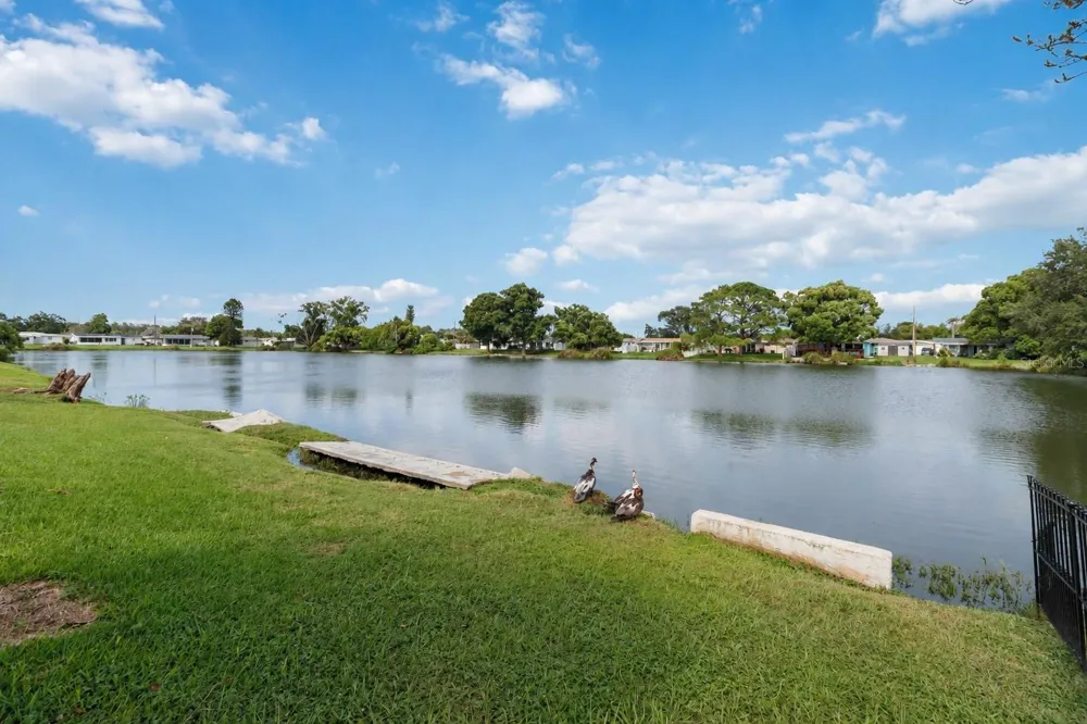 2044 PAMELA DRIVE Holiday, FL 34690