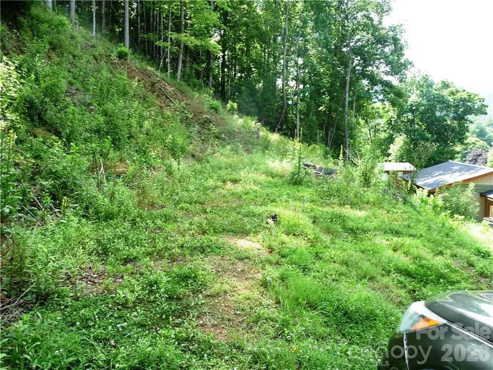 870 Bairds Creek Road Vilas, NC 28692