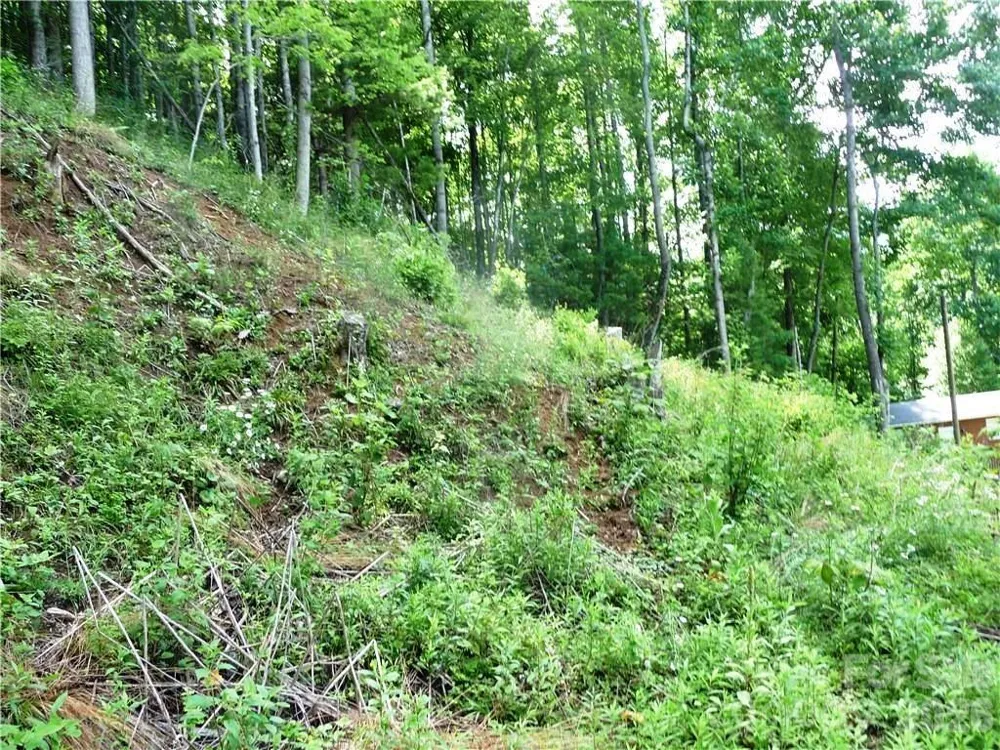 870 Bairds Creek Road Vilas, NC 28692
