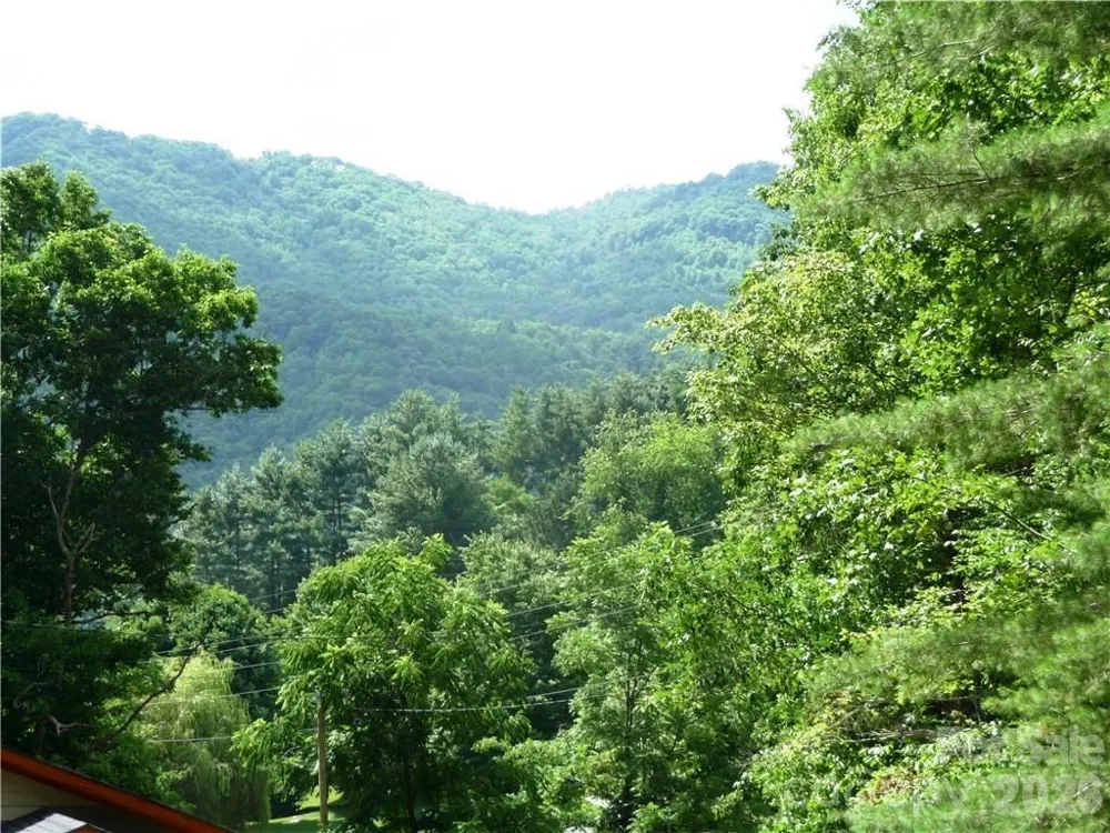 870 Bairds Creek Road Vilas, NC 28692