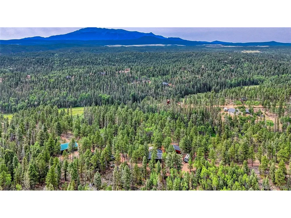 5544 County Road 5 Road Divide, CO 80814